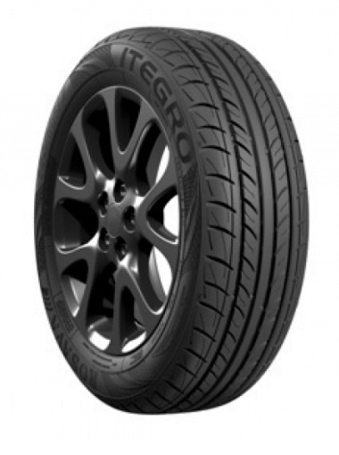 Росава Itegro 195/55 R16 87V