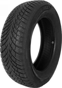 Waterfall Snow Hill 3 225/55 R17 101V XL